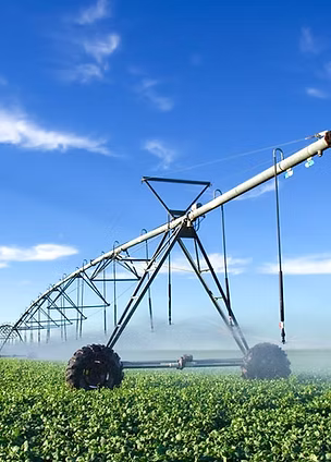 Agriculture 